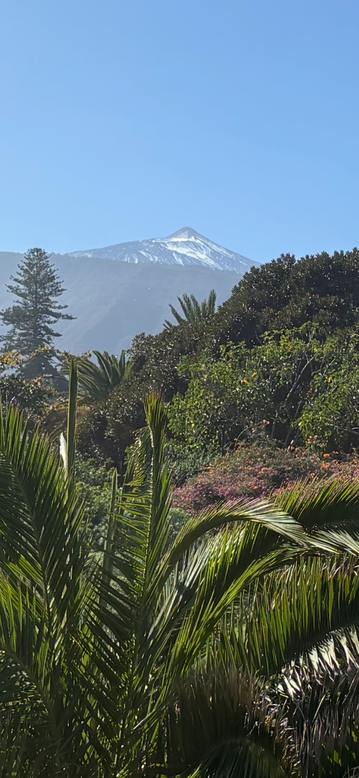 Mount teide Tenerife